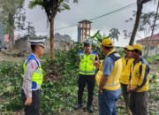 Antisipasi Pohon Tumbang, Satlantas Polres Tasikmalaya Bersama PUPR Lakukan Penebangan Pohon