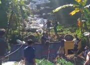 Kelebihan Muatan Truk Pengangkut Pupuk Kandang Ayam Terjun Ke Jurang Sedalam 60 Meter, ” Ini Kronologisnya