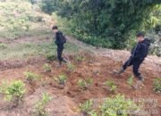 Sat Samapta Polres Garut Patroli Ke Perkebunan Teh