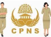 48 Formasi CPNS tahun 2024 Pemkot Bandung Dibuka