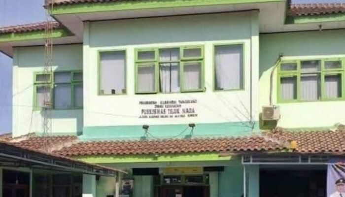 Banyak Warga Kampung Melayu Barat Terjangkit DBD Kepala Desa Dan Dinas Kesehatan Tutup Mata