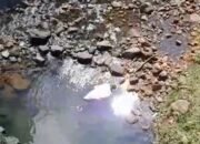 Warga Sukakerta Di Gegerkan Mayat Di Kolong Jembatan