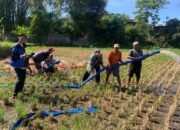Dinas Pertanian Garut Lakukan Pompanisasi Sebagai Percepatan Olah Lahan Dan Tanam Di Kelompok Tani Mitra Rahayu