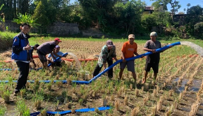 Dinas Pertanian Garut Lakukan Pompanisasi Sebagai Percepatan Olah Lahan Dan Tanam Di Kelompok Tani Mitra Rahayu