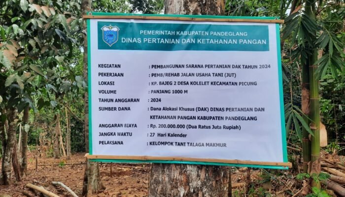 Proyek Jalan Usaha Tani JUT Didesa Kolelet Berikan Upah Kerja, Hari Ongkos Kerja (HOK) Rp 20 Ribu/hari