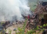 Tiga Rumah Hangus Terbakar Kerugian Capai Rp 65 Juta