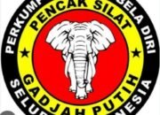 Rakorpim Dewan Pimpinan Pusat (DPP) Himpunan Pencak Silat Indonesia ( HPSI ) Gadjah Putih Mega Paksi Pusaka Dihadiri Puluhan Jawara