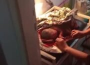 Warga Darawati di Gegerkan Bayi Baru Lahir Ditemukan Di gubuk Petani Kebun