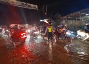 Hujan Deras disertai Angin Kencang Tumbangkan Puluhan Pohon, Satu Rumah Mengalami Kerusakan