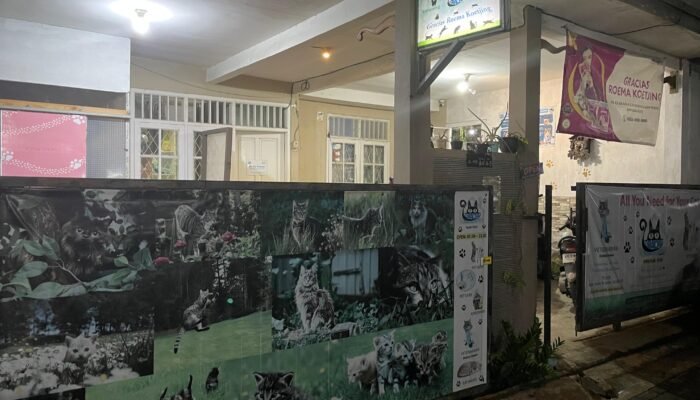 Gracias Roema Koetjing Berikan Solusi Untuk Cat Lovers
