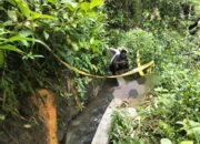 Pencari Rumput Temukan Mayat Perempuan di Saluran Air, ” Polisi Lakukan Penyelidikan