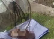 Satreskrim Berupaya Melakukan Penyelidikan Terkait Ibu Pembuang Bayi