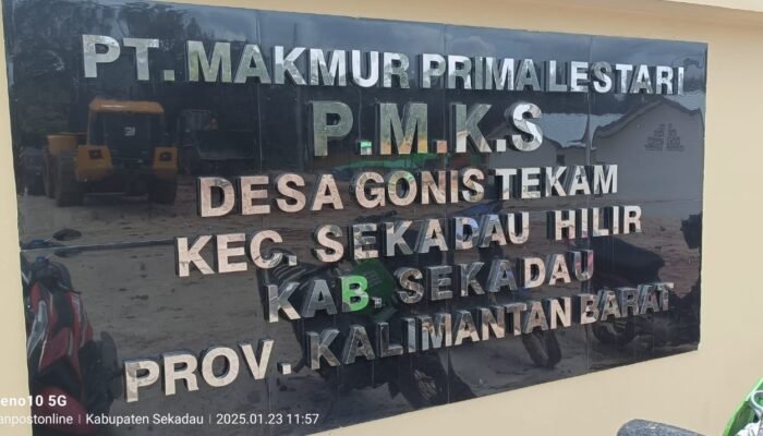 Terkuak PT Makmur Prima Lestari (MPL) Bangun PKS Tanpa Kebun Sawit
