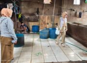 Untuk Jamin Kualitas Daging, Diskannak Garut Perketat Pengawasan Rumah Potong Unggas