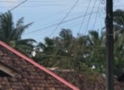 Jaringan Internet Wifi Ganggu Kenyamanan Lingkungan di Desa Kaduhejo