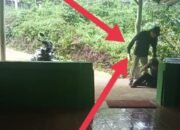 Ngeri, Viral Diduga Oknum Guru Aniaya Murid di SMP Negri Pinoh Selatan
