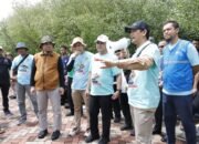 Rayakan HPSN 2025, Pemkab Tangerang Tanam Mangrove dan Bersih-Bersih Pantai