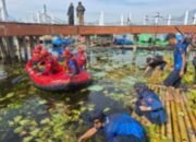 Seluruh SKPD dan Masyarakat Garut Bersihkan Eceng Gondok di Daerah Situ Bagendit Untuk Sambut HJG Ke 212