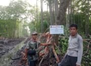 Dugaan Pengrusakan Hutan Mangrove Oleh RHM Menurut Sekretaris LPK Mulyadi Adalah Ilegal