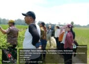 Hentikan Fitnah! Sengketa Tanah Pematang Kelang Sudah Berkekuatan Hukum Tetap