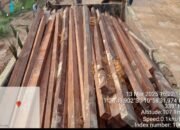 Penemuan Ribuan Batang Kayu Tidak Bertuan Menjadi Pertanyaan Publik, Mabes Polri di Minta Turun Tanggan