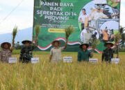 Walikota Tasikmalaya Ikuti Panen Raya Serentak 14 Provinsi, Tekankan Perhatian pada Petani