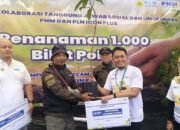 PLN Icon Plus dan PNM Bersinergi untuk Ketahanan Pangan dan Konservasi Lingkungan