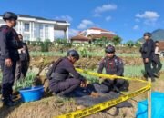 Geger di Ciwidey, Petani Temukan Mortir Kaliber 81 mm, Peninggalan Kolonial Belanda, Tim Gegana Turun Tangan