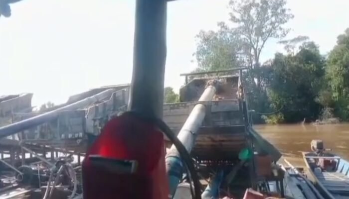 Tambang Emas Tanpa IzIn Menjamur, Diduga APH Bungkam dan Tutup Mata