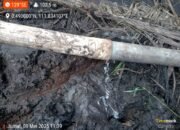 Aktivis Minta Penegakan Hukum Lingkungan di Kapuas Hulu, Diduga Cemari Sungai Jentu, PT SMS Didesak Harus Bertanggung Jawab