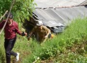 Pasca, Bencana Longsor di Desa Nagreg Kendan, Dadang Supriatna : “Prioritaskan Menyelamatkan Masyarakat yang Terdampak Bencana,”