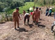 Dukung Ketahanan Pangan Nasional, Kelompok Tani Tinggang Jaya dan Muspika Kecamatan Tanah Pinoh Laksanakan Penanaman Jagung