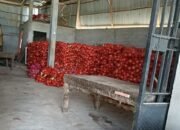 Diduga Bawang Ilegal Asal Malaysia Ditemukan di Gudang Milik Bos J di Desa Bani Amas