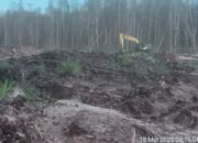 Wartawan Dianiaya di Lokasi Tambang Ilegal Ketapang, Polisi Diduha Lamban Bertindak