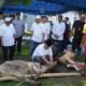 Rutan Kelas I Medan Gelar Sholat Idul Adha dan Pemotongan Hewan Qurban