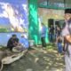 DPC PKB Kabupaten Garut Gelar Penyembelihan Hewan Kurban 1446 H