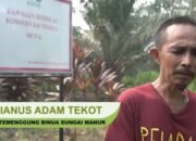 Hutan Adat Habis, Masyarakat Adat Terdesak : “Kami Tak Punya Ruang Hidup Lagi