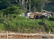 Panglima Bunga Datok Laway : “Jangan Jadikan Rakyat Kecil Tumbal Keserakahan Pengusaha,”