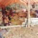 DPD Tani Merdeka Indonesia (TMI) Lakukan Proses Pembabatan Lahan Baru Untuk Tanam Jagung