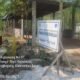 Diduga Ratusan Pohon Mangrove di Bengkayang Dibabat Untuk Parkir Ilegal, Pemda Diminta Bertindak Tegas