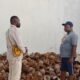 Ketum DPW Papera dan Tani Merdeka, Kunjungi Ketua kelompok Petani Kelapa Di Nabire.
