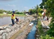 DBMSDA Melalui UPTD SDA Wilayah 5 Lakukan Kegiatan Swakelola Pembangunan Turab diperum Pesona Lebak Wangi 2 Sepatan