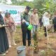 Kenang Tragedi TPA Leuwigajah 2005, Pemkot Cimahi Tanam 1000 Bambu Sebagai Upaya Rekonsiliasi Alam