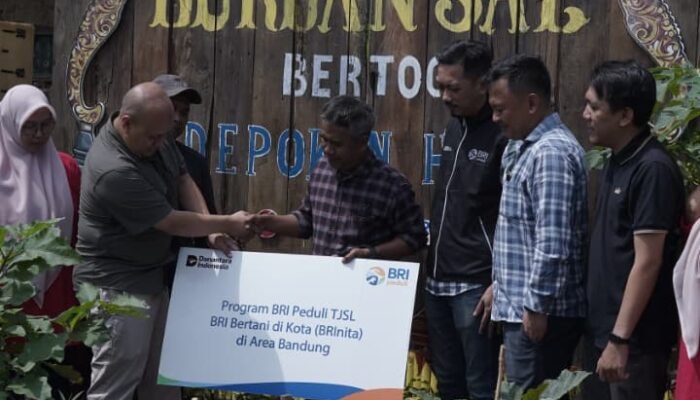 Program BRI Peduli TJSL Dukung Urban Farming melalui BRInita di Bandung