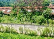 Warga Mekar Sari Cikawung Baleendah Keluhkan Polusi Udara dari Peternakan Bebek di Tengah Pemukiman