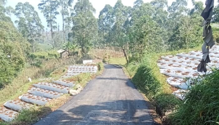 Jalan nampak setengahnya sudah mulai mulus, jadi kebanggaan warga setempat