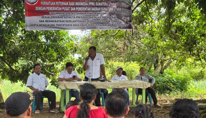 Peternak Minta Pemerintah Segera Tangani Penyebaran Virus Flu Babi di Sumut