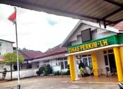 Skandal Dugaan Jual-Beli Proyek di Dinas Perkim LH Ketapang: AR Diduga Atur Ratusan Paket, Publik Mendesak Investigasi