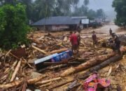 Oknum Serakah Hancurkan Alam di Sumut, Aceh, dan Sumbar: Formappel’RI Layangkan Kecaman Keras