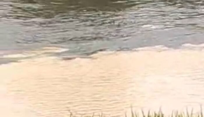 Warga Keluhkan Pencemaran Sungai Payak di Sintang, Diduga Akibat Tambang Emas Ilegal